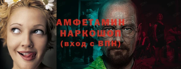 сатива Горняк