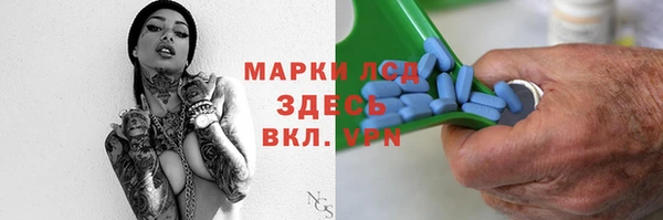 сатива Горняк