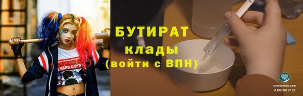 сатива Горняк