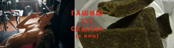 ГАЛЛЮЦИНОГЕННЫЕ ГРИБЫ Горно-Алтайск