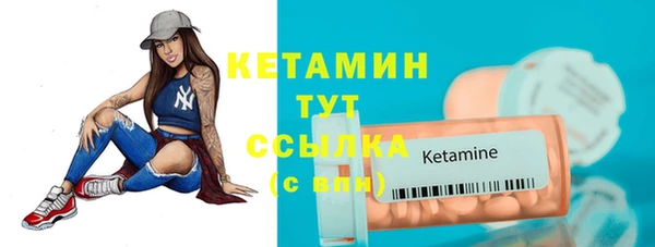 сатива Горняк