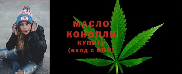 сатива Горняк