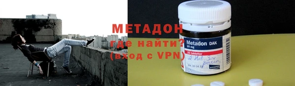 сатива Горняк