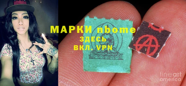 сатива Горняк
