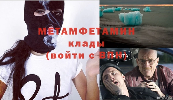 сатива Горняк