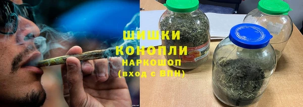ГАЛЛЮЦИНОГЕННЫЕ ГРИБЫ Горно-Алтайск