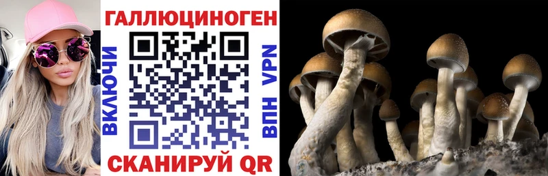 Купить закладки  Агидель  Псилоцибиновые грибы Magic Shrooms 